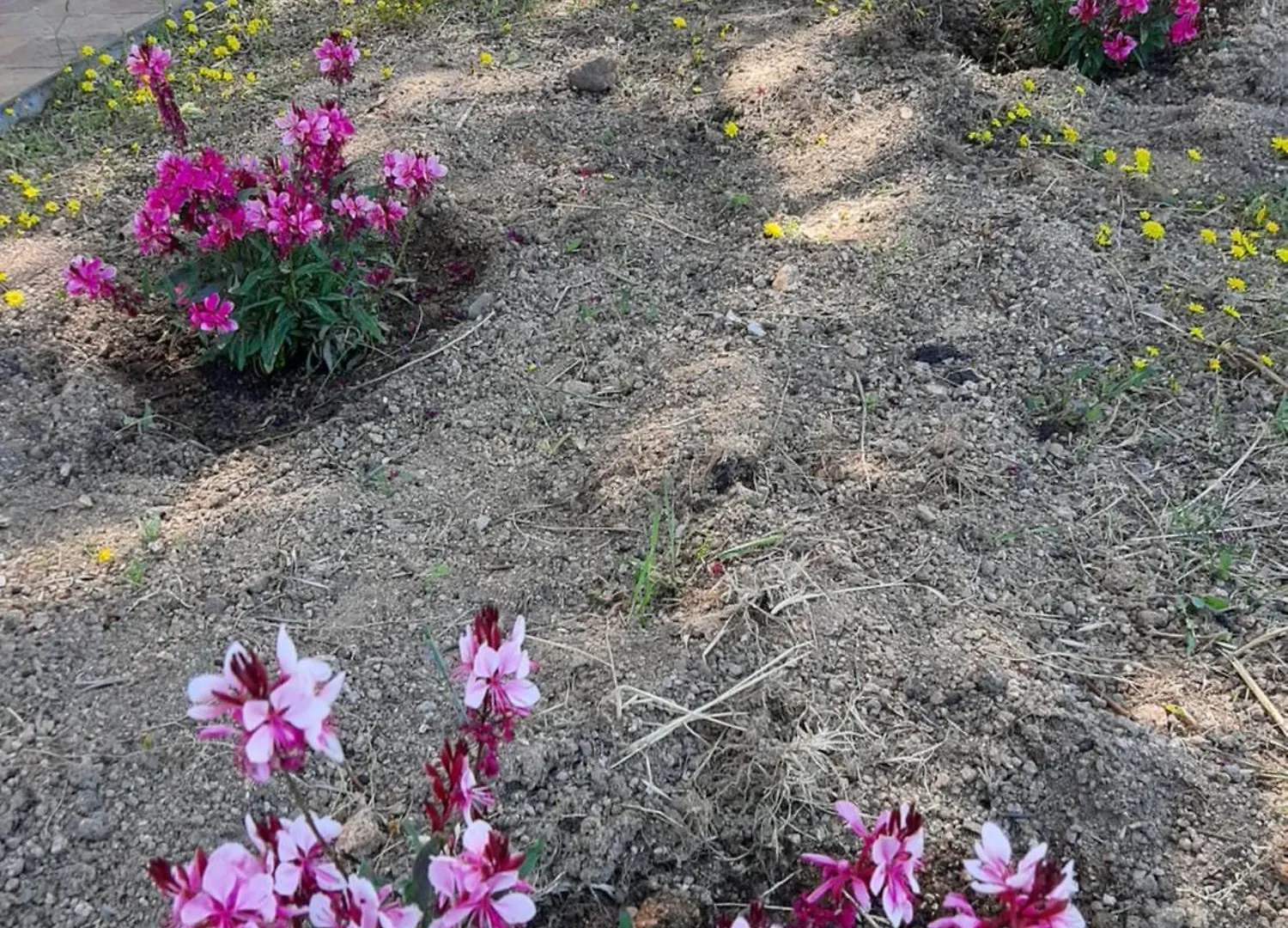 Agriturismo I Tre Vitigni Appartamento Vermentino Trinita d'Agultu e Vignola 0*,
