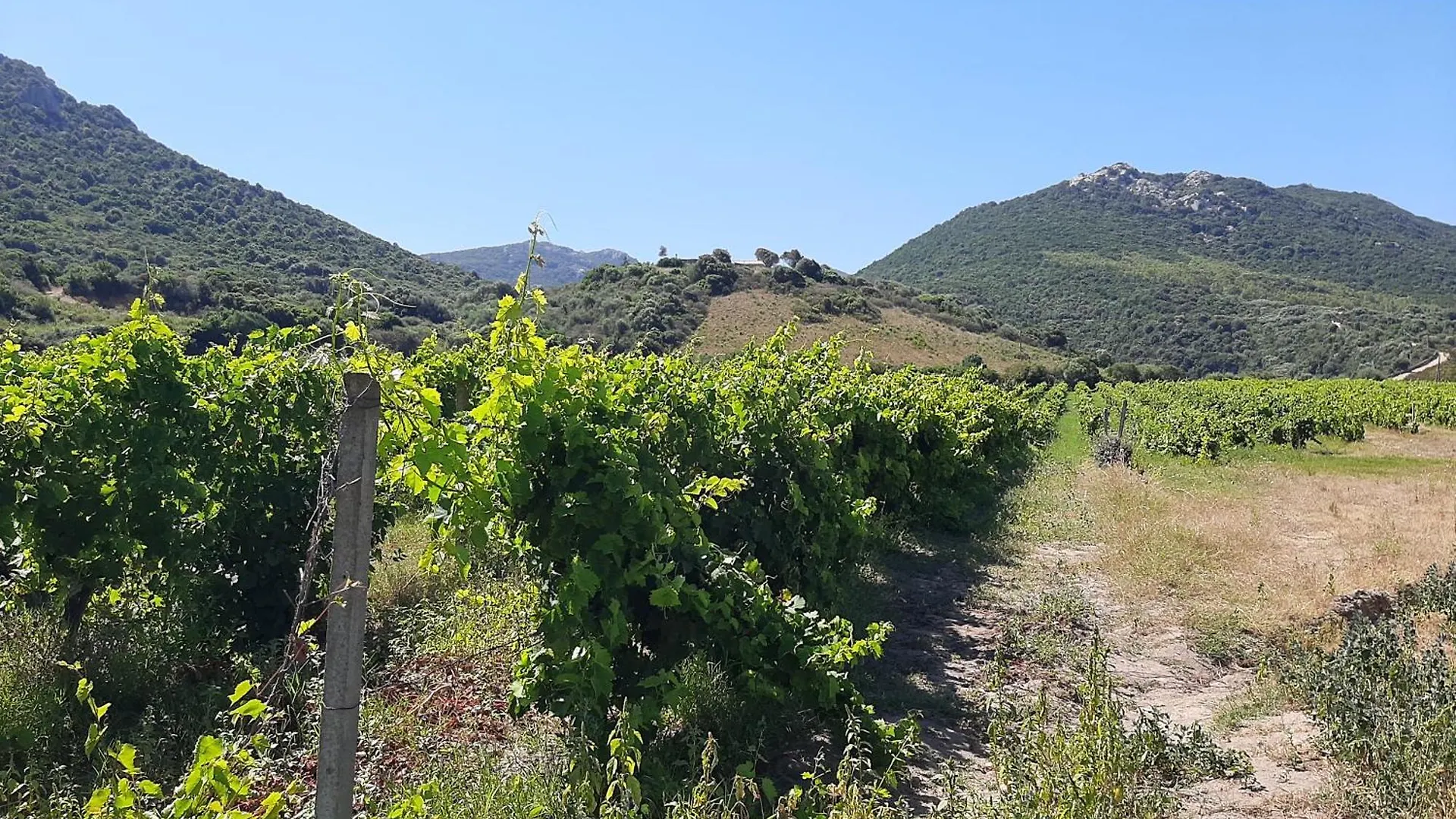 Апартаменты Agriturismo I Tre Vitigni Appartamento Vermentino Trinita d'Agultu e Vignola Италия